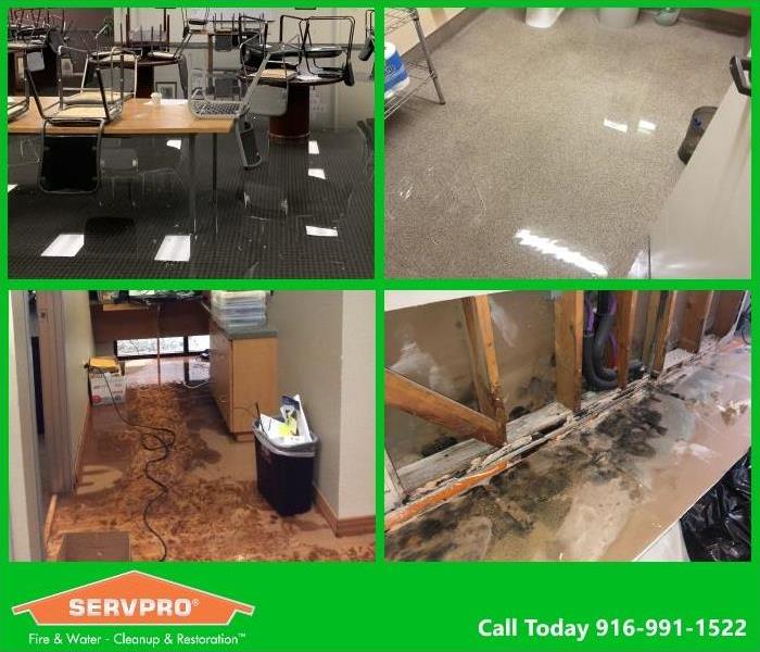 SERVPRO water and mold damage