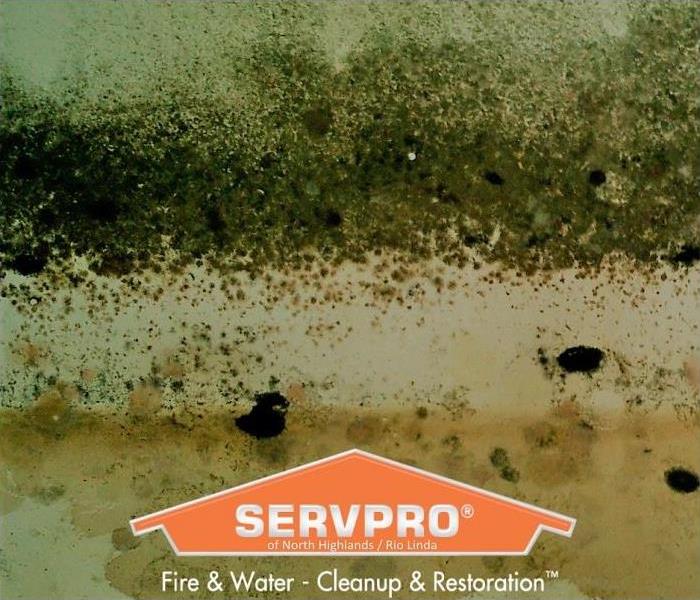 If you see mold don't touch, SERVPRO of North Highlands / Rio Linda specialize in mold cleanup and restoration